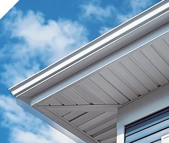 Soffit and Fascia Repair