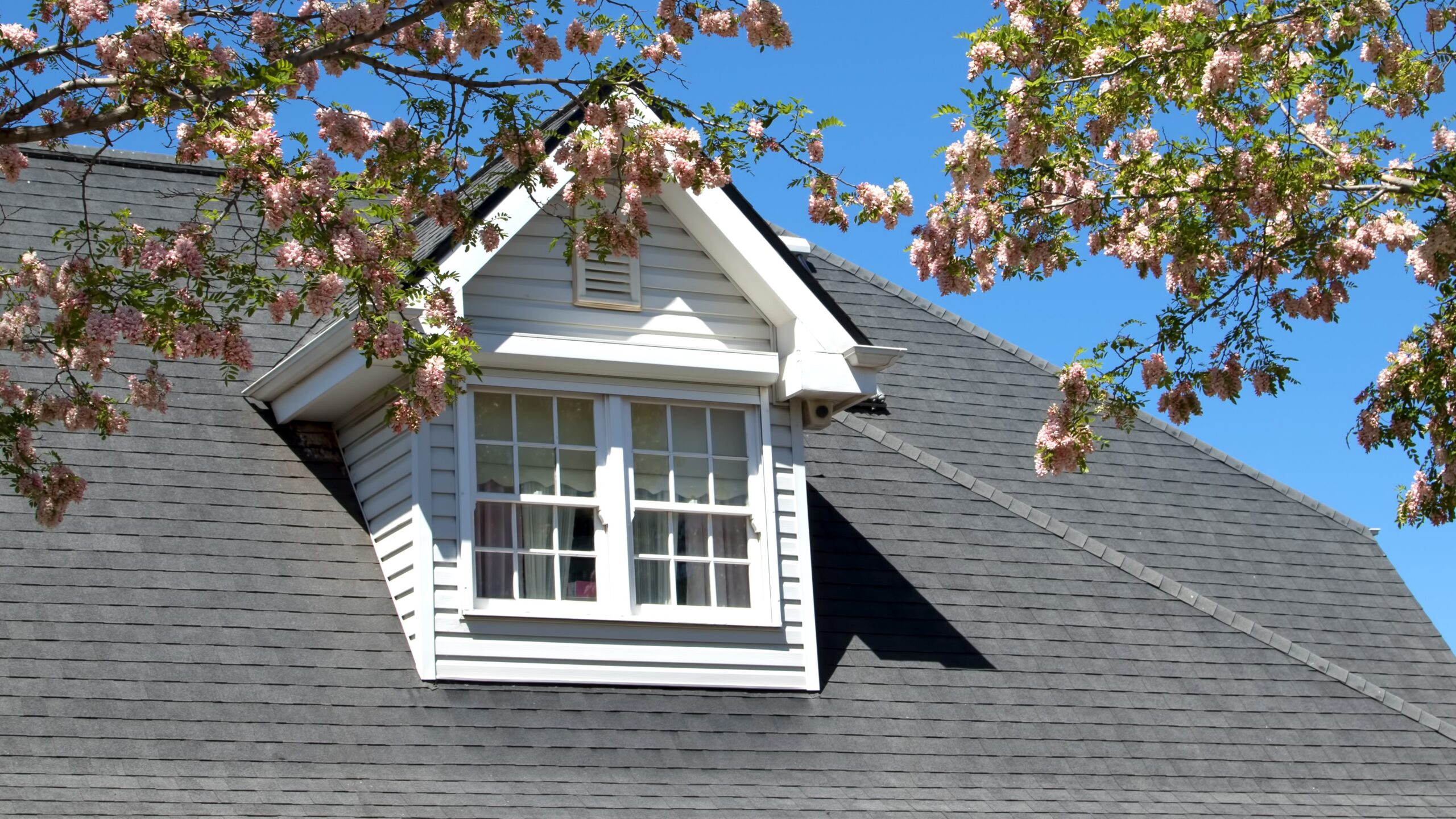 Large asphalt shingle roof on home with small roof gable with white siding and a small window on it